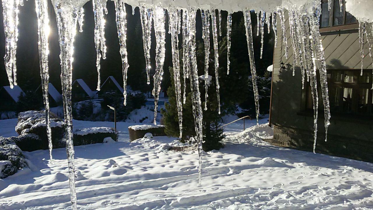 Hotel Maredis Kořenov Esterno foto