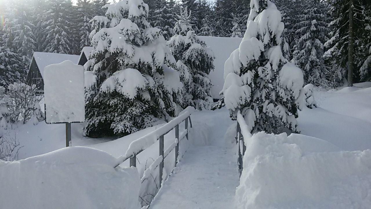 Hotel Maredis Kořenov Esterno foto